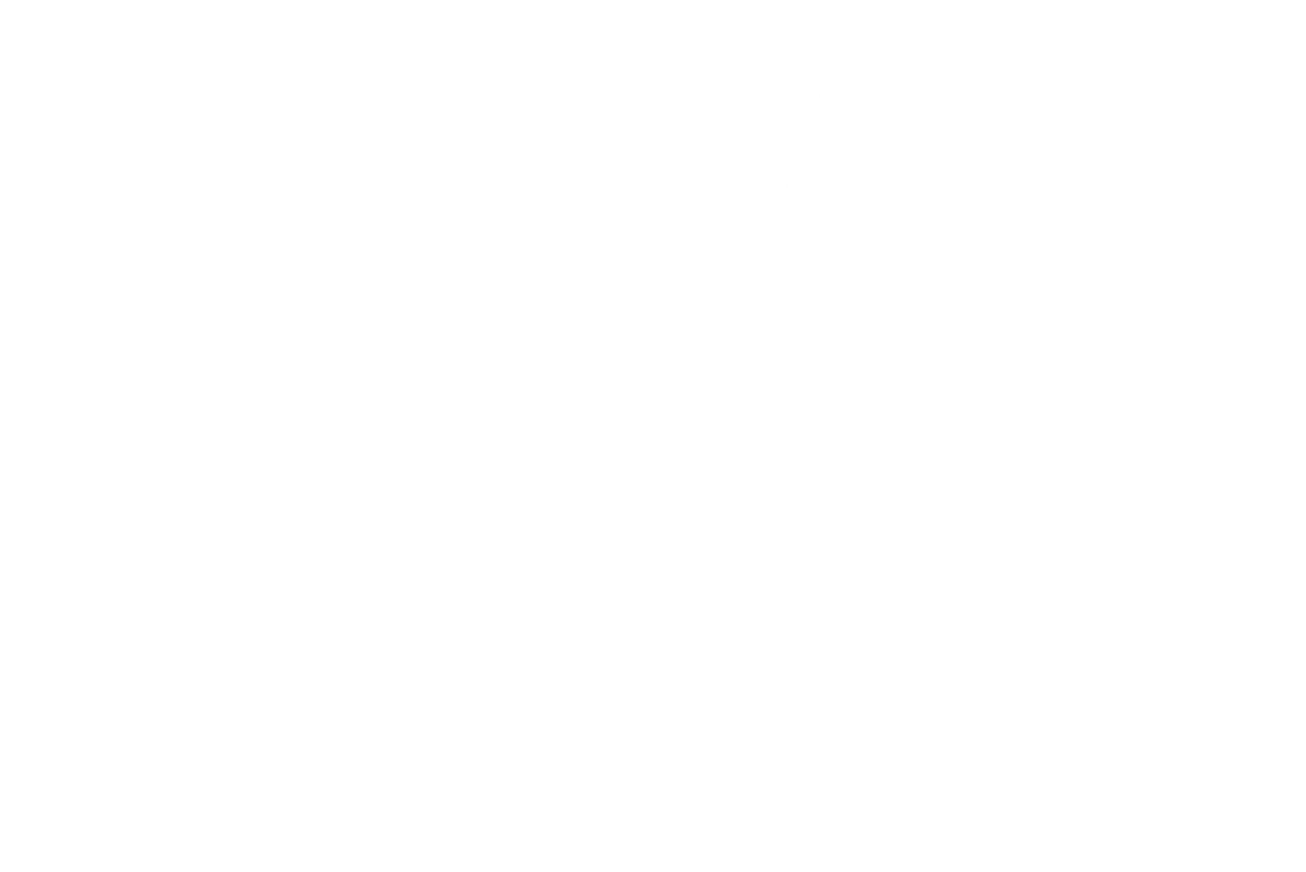 LEANDRO VENTURE